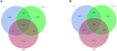 Characterization of dysbiosis of the conjunctival microbiome and nasal microbiome associated with allergic rhinoconjunctivitis and allergic rhinitis